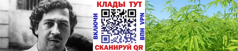 Где купить наркотики Новотитаровская СК КОКАИН MDMA Каннабис Гашиш