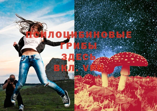 трава Кукмор