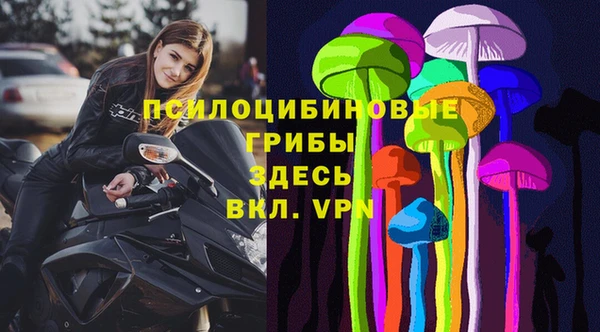 трава Кукмор