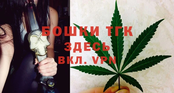 ПСИЛОЦИБИНОВЫЕ ГРИБЫ Осташков