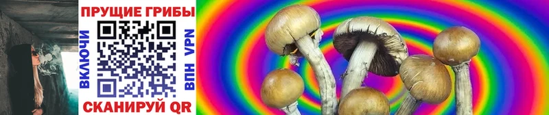 где можно купить   MEGA зеркало  Псилоцибиновые грибы Magic Shrooms  Новотитаровская 