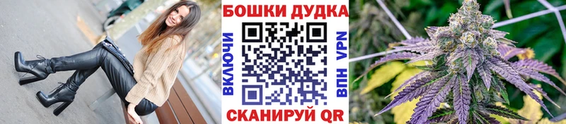 Бошки Шишки ГИДРОПОН  omg как зайти  Новотитаровская 