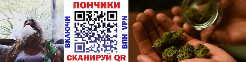 Бошки Шишки Bruce Banner Новотитаровская